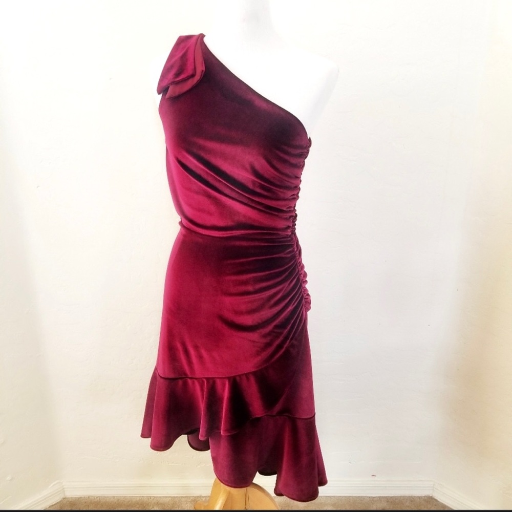 Chelsea & Violet Wine ruched dress